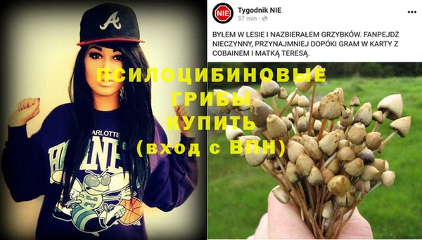 марки nbome Арсеньев