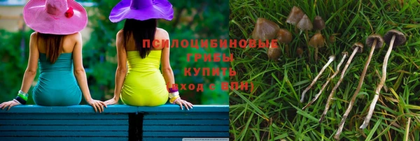 эйфоретик Аркадак