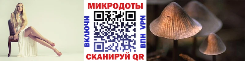 Псилоцибиновые грибы Psilocybine cubensis  Светлый 